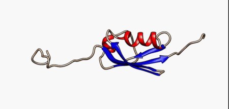 disordered protein.gif