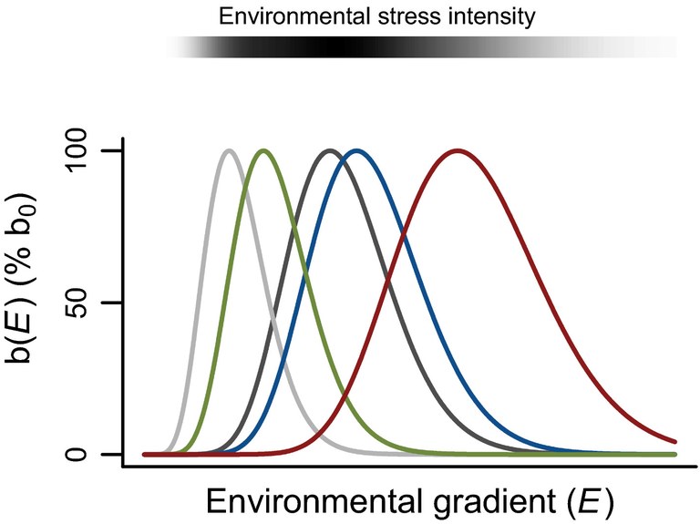 envgrad.jpg