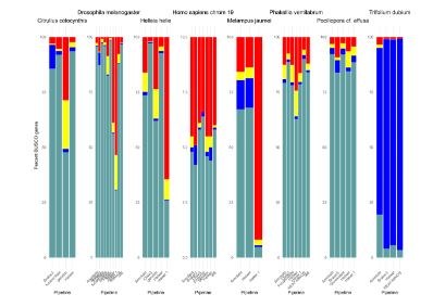 gene annotation.JPG