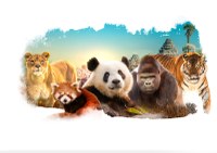 Large-MULTIANIMAUX 20220808 V03_CLEAN_TL.jpg