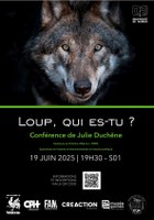 loup qui estu.jpg
