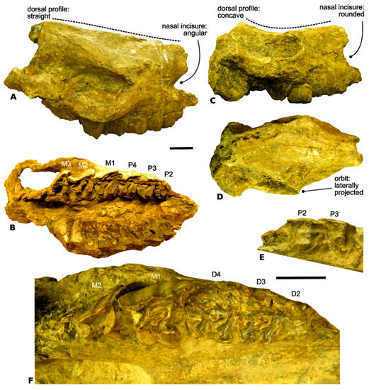 minerals-11-00260-g006-550.jpg