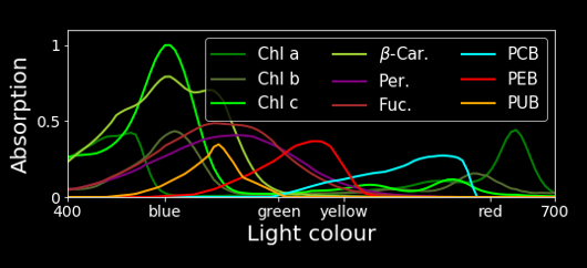 pigments.png