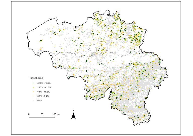 RespirIT_ForestInventory_pcGHA_ALL3-1.jpg