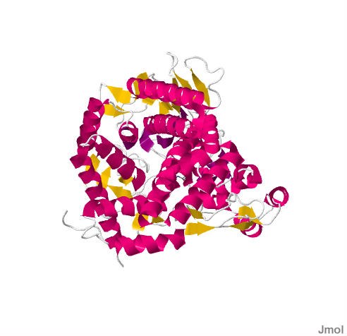 Trehalase.jpg