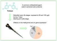 zebrafish triclosan.jpg