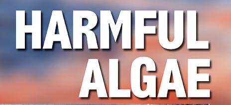 harmful algae.JPG