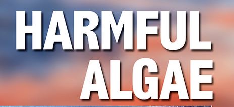 harmful algae.JPG