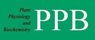 PPB.JPG